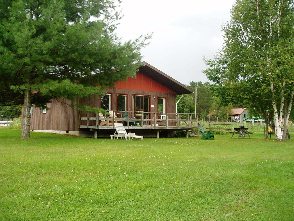 Bondi Village Cottage Resort Lake of Bays Extérieur photo