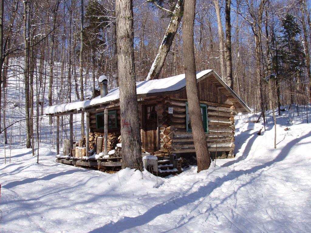 Bondi Village Cottage Resort Lake of Bays Extérieur photo